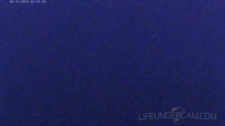 Катя пригласила двух одногруппников с вялыми членами к себе в кровать