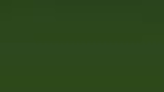 POV Oral Futanari Deepthroat GIF