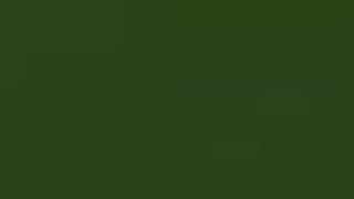 POV Oral Futanari Deepthroat GIF