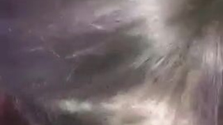 Sloppy Deepthroat BBW GIF