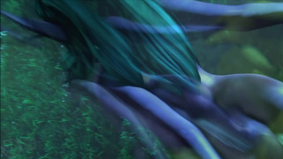 Мечта Тиранды