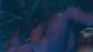 Мечта Тиранды